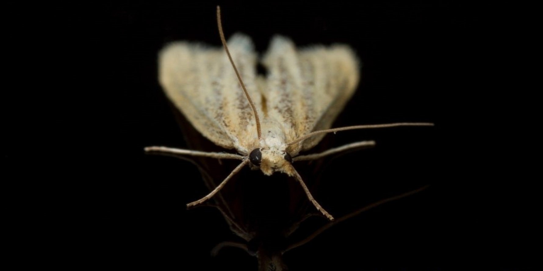 اسلاید پنجم